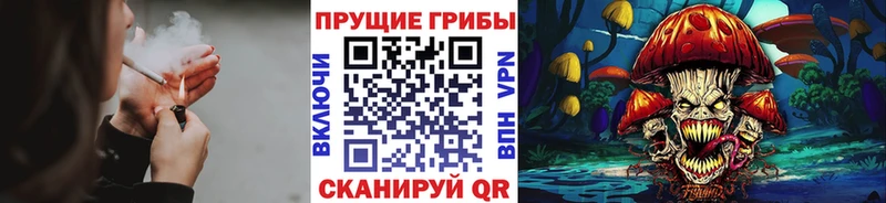 Купить закладки  Томмот  Галлюциногенные грибы MAGIC MUSHROOMS 